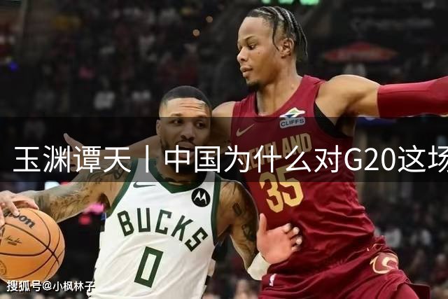 玉渊谭天丨中国为什么对G20这场会未发表公报表示遗憾